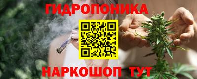эйфоретик Тара