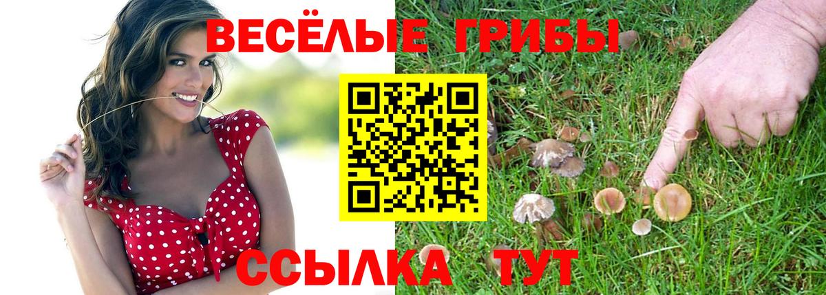 Белая Калитва  Псилоцибиновые грибы Psilocybe  Вход с VPN 
